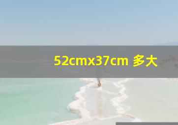 52cmx37cm 多大